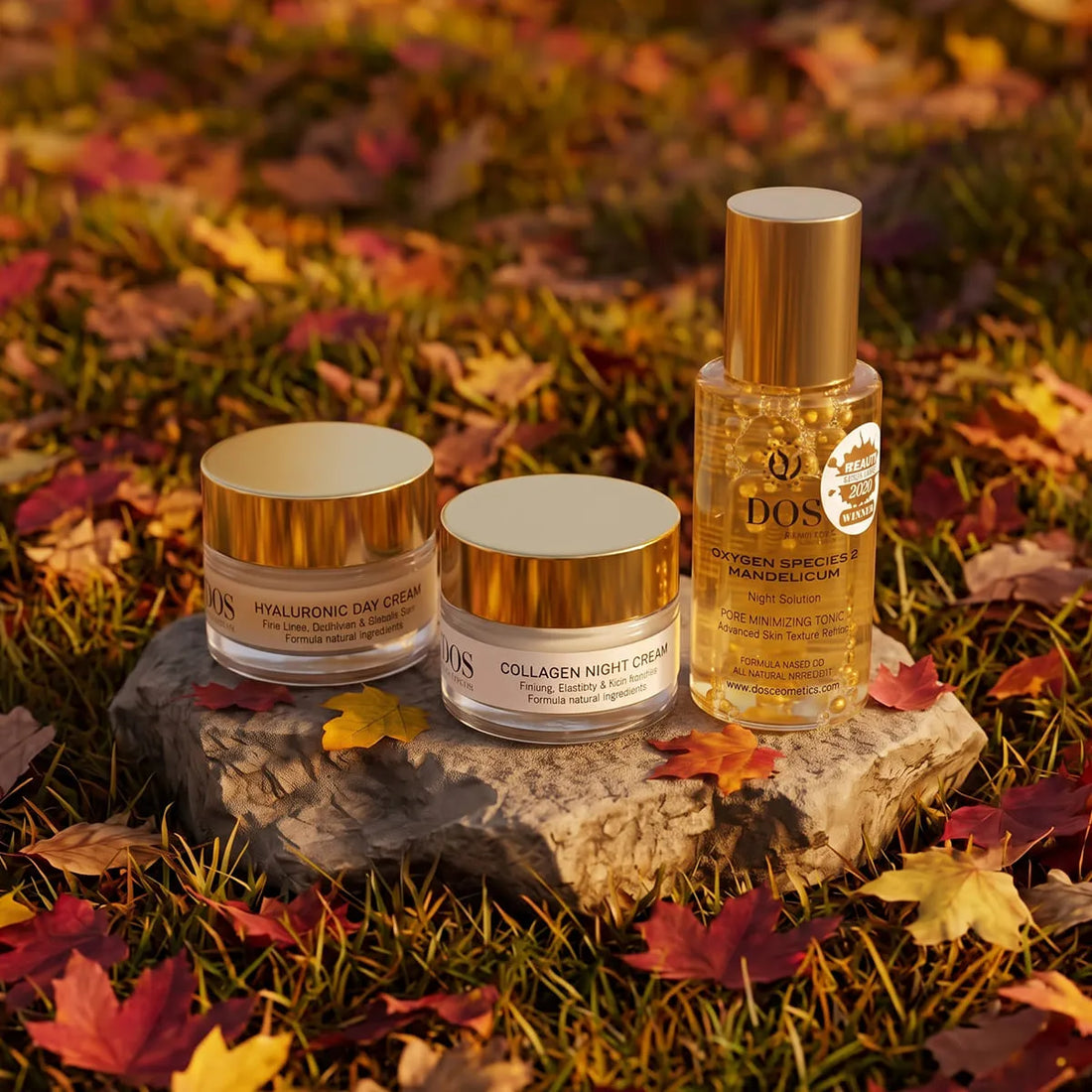Autumn/Winter: Regeneration Protocol
